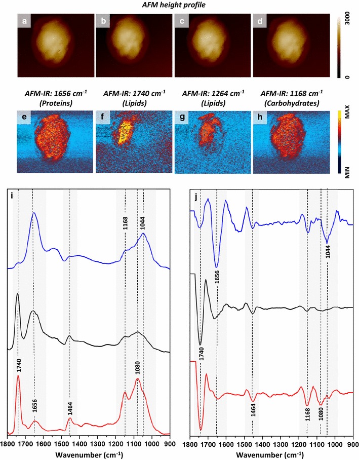 Fig. 7