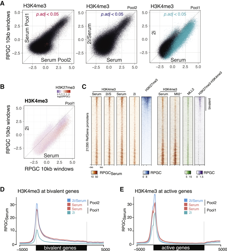 Figure 3