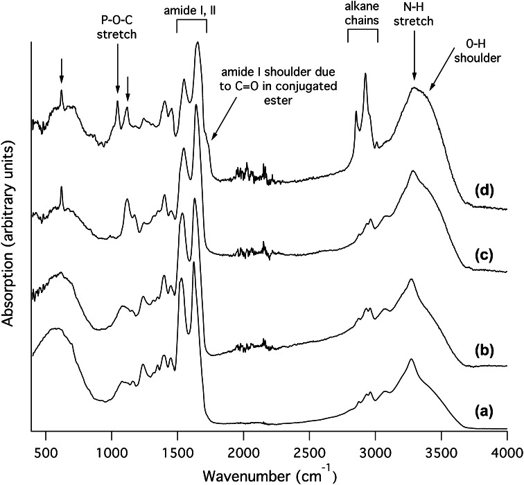 Fig. 2