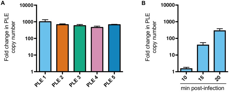 Fig 5