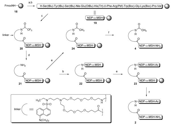 Scheme 2