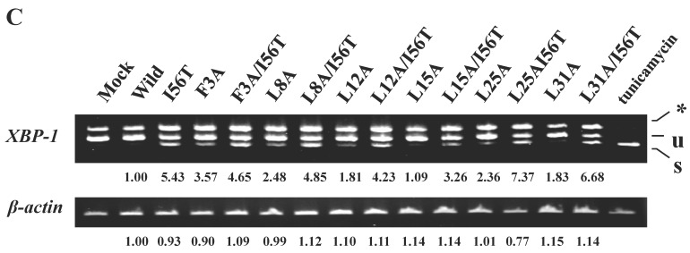 Fig 7