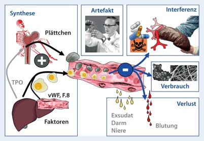 graphic file with name 63_2011_32_Fig2_HTML.jpg
