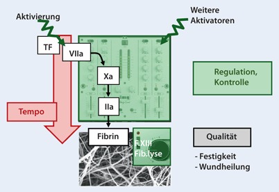 graphic file with name 63_2011_32_Fig1_HTML.jpg
