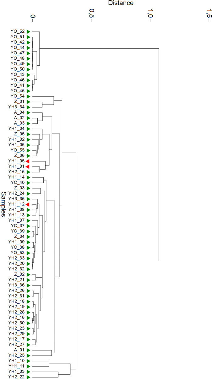 FIG 3