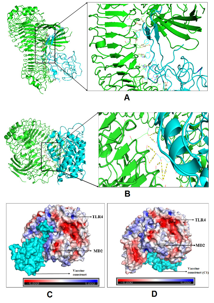 Figure 12.