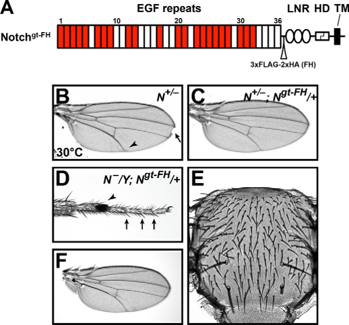 FIGURE 7.