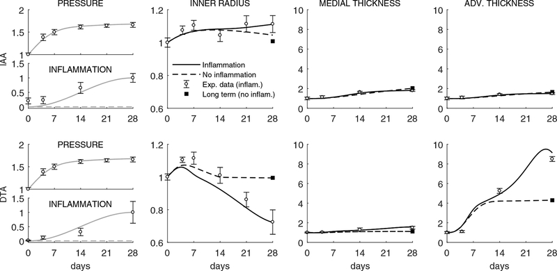 Figure 3: