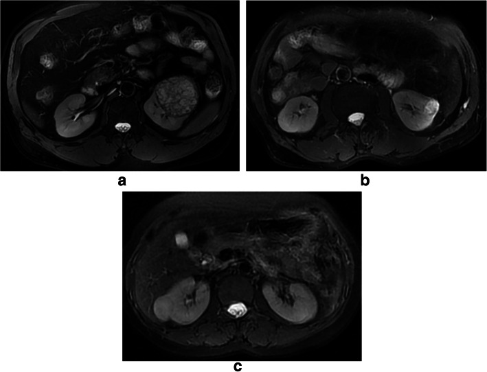 Fig. 5