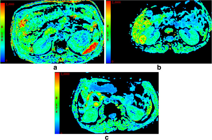 Fig. 3