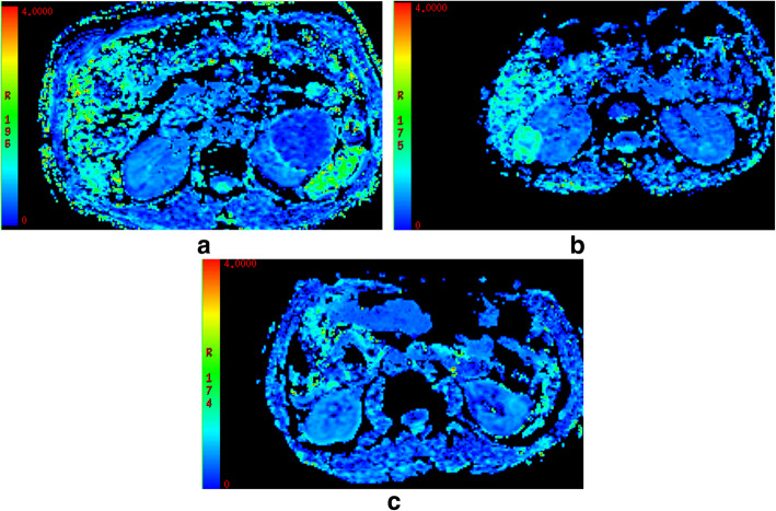 Fig. 4