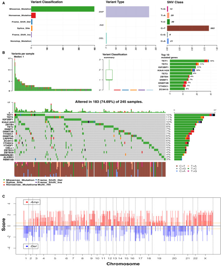 FIGURE 2