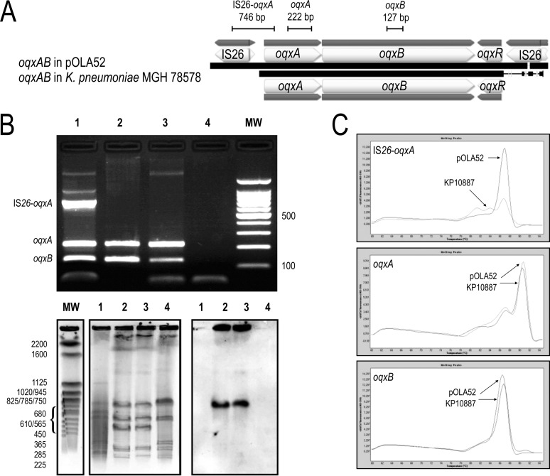 FIG 1