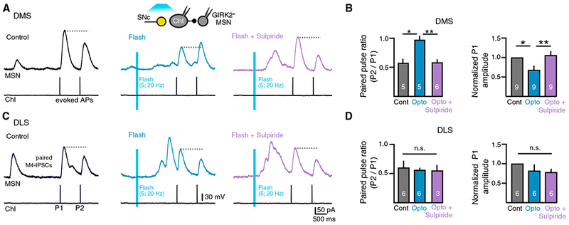 Figure 7.