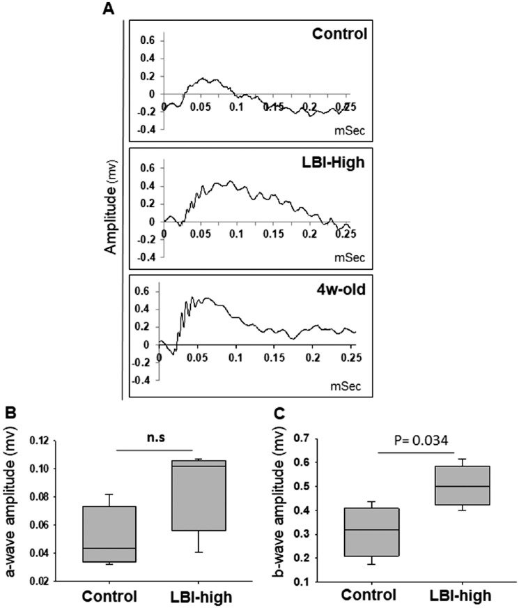 Figure 7.