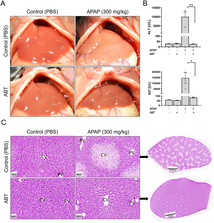 Fig. 2