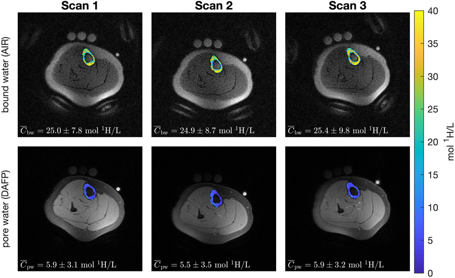 Figure 3: