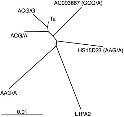 Fig 4.