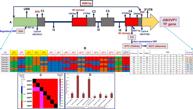 Figure 3.