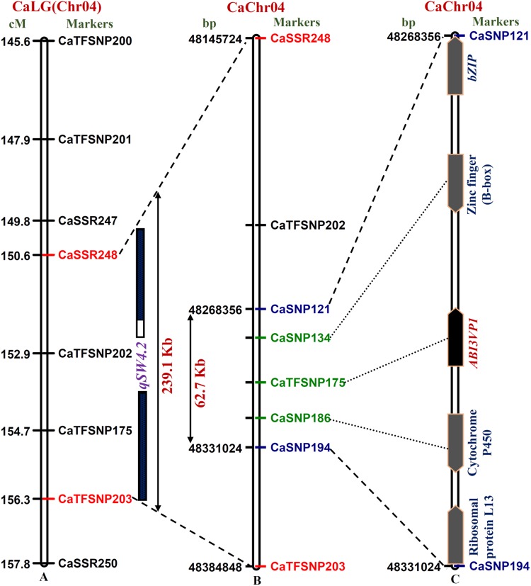 Figure 2.