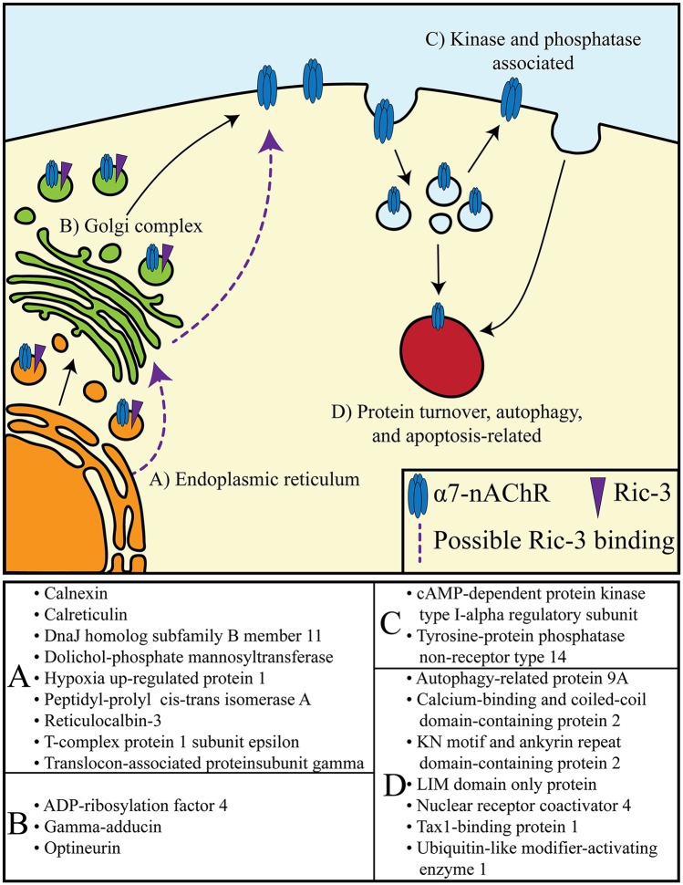 Fig 4