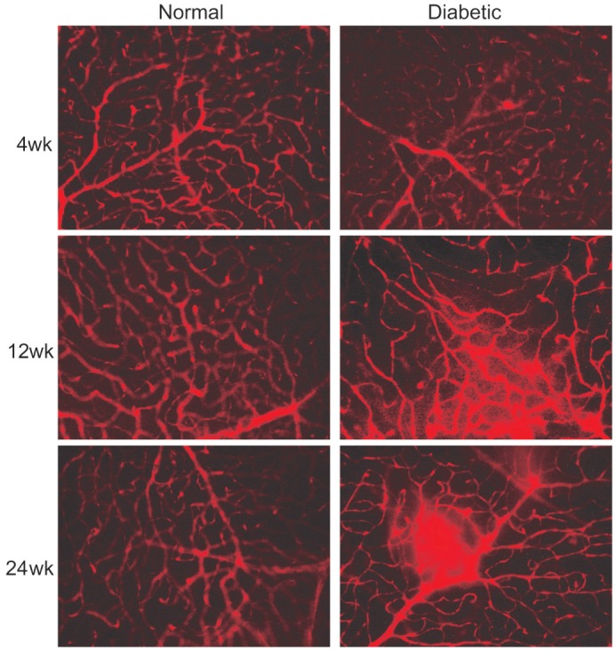 Figure 5