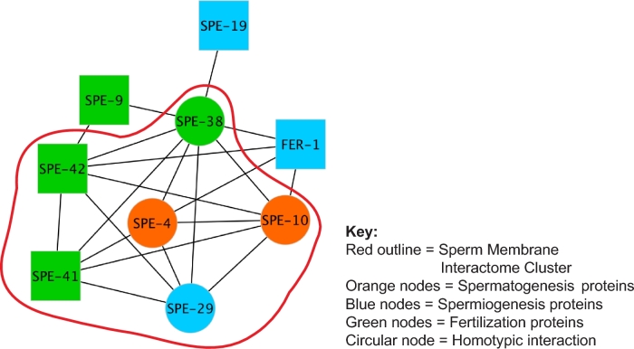 Figure 3.