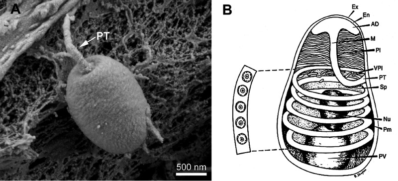 FIG 2