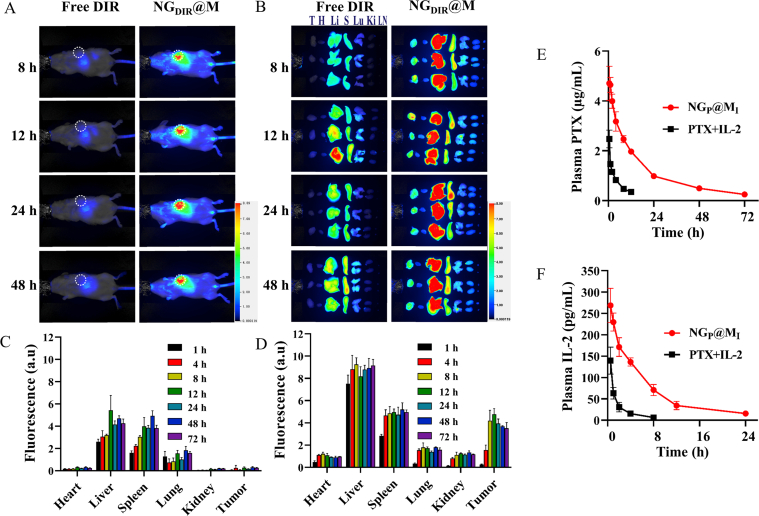 Figure 3