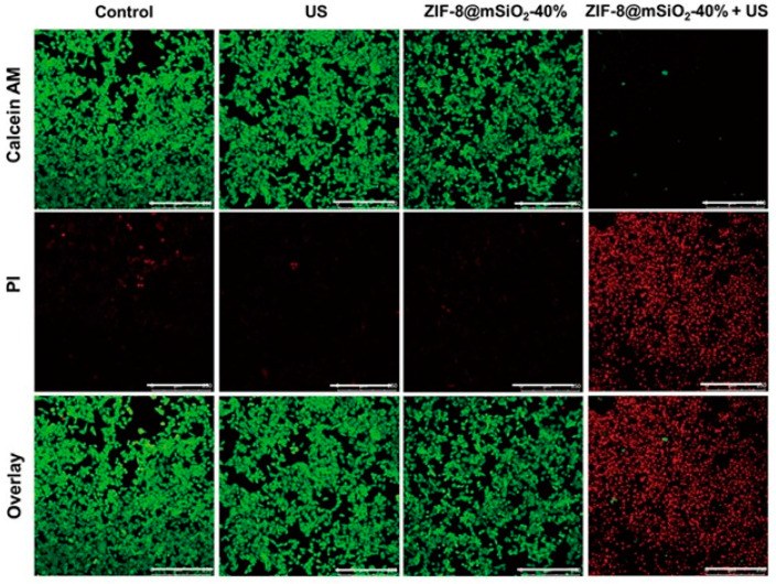 Figure 12