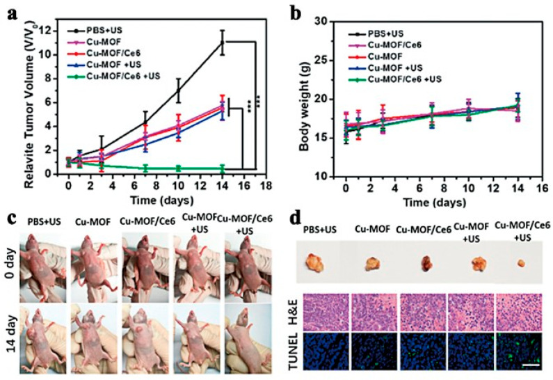 Figure 26