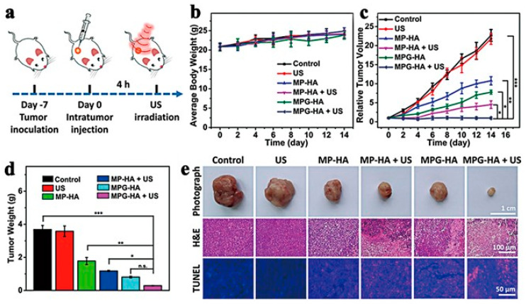 Figure 24