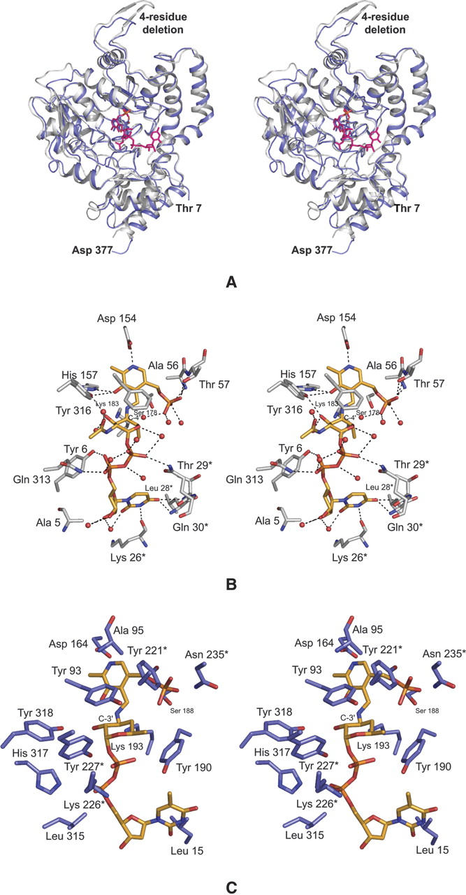 Figure 5.