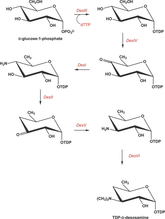 Scheme 1.