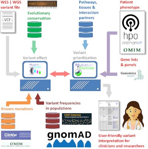 Graphical Abstract