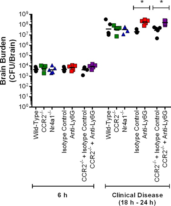 FIG 10