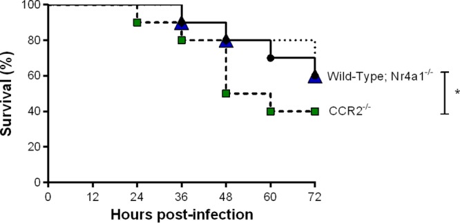 FIG 1