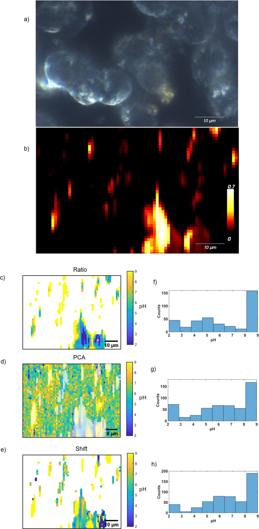 Figure 4: