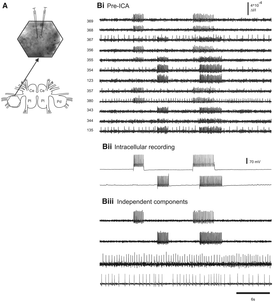 FIG. 3