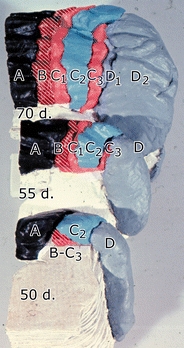 Fig. 16