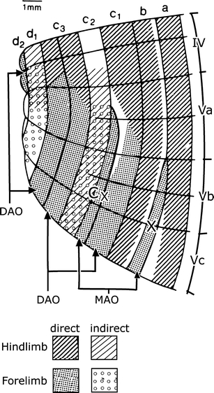 Fig. 10