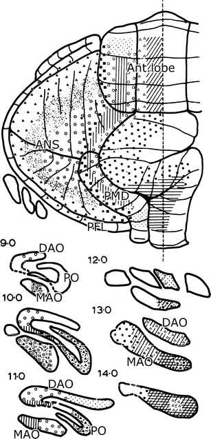 Fig. 13