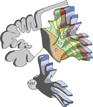 Fig. 5