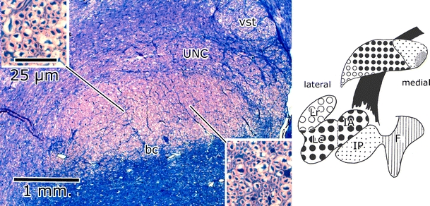 Fig. 2