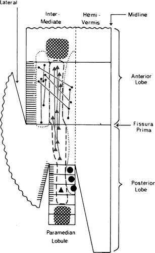 Fig. 12