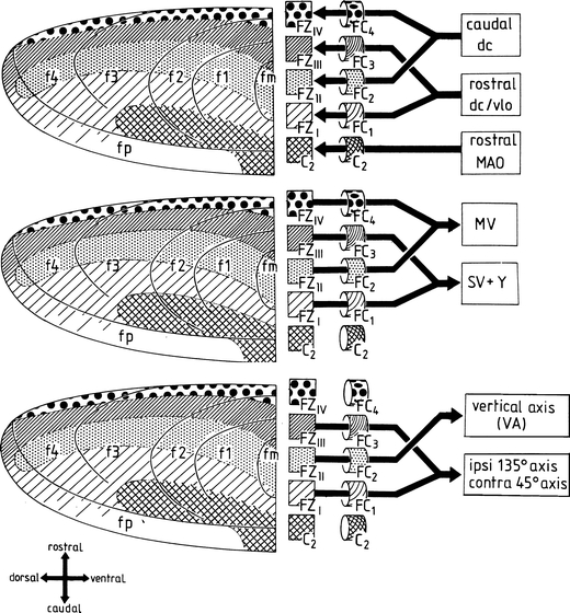 Fig. 17