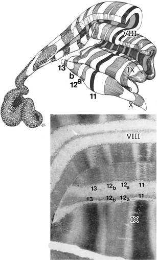 Fig. 14