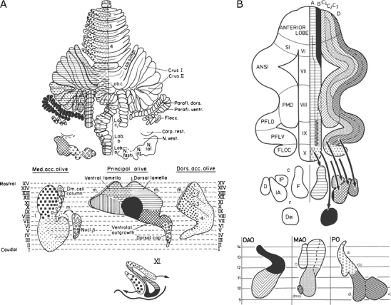 Fig. 8