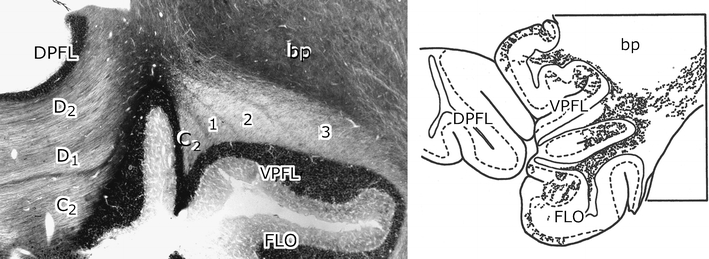 Fig. 15