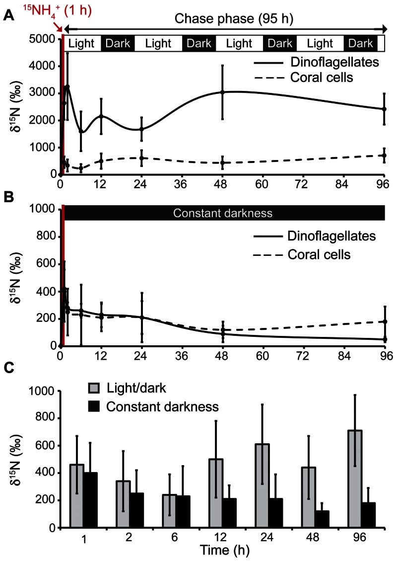 FIG 3 